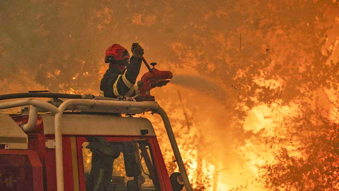 Cambio climático: el peligro del 'combustible seco' en los incendios